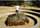 The biggest meteorite in the world, Hoba, Namibia